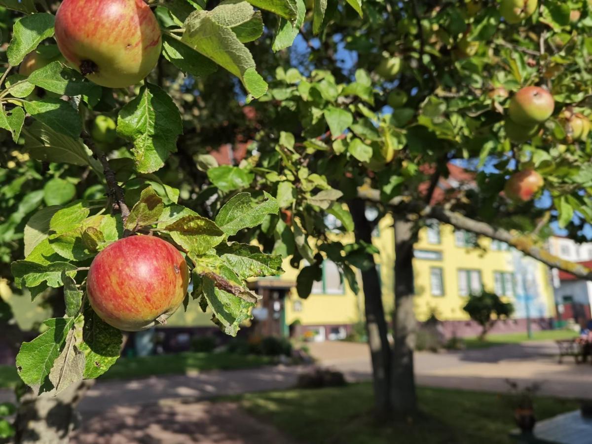 Hotel Wandersleben - Erfurt Esterno foto